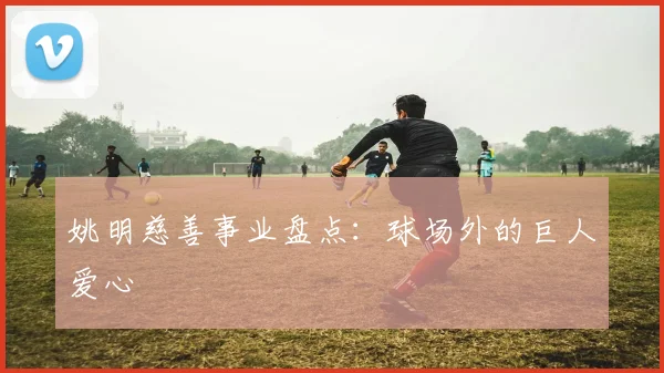 姚明慈善事业盘点：球场外的巨人爱心
