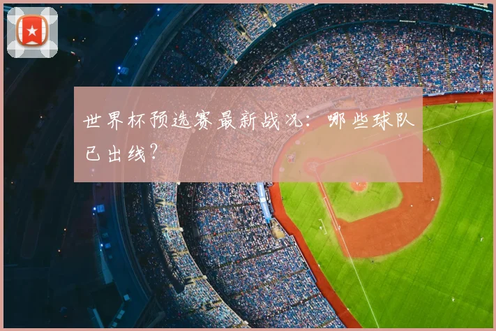 世界杯预选赛最新战况：哪些球队已出线？