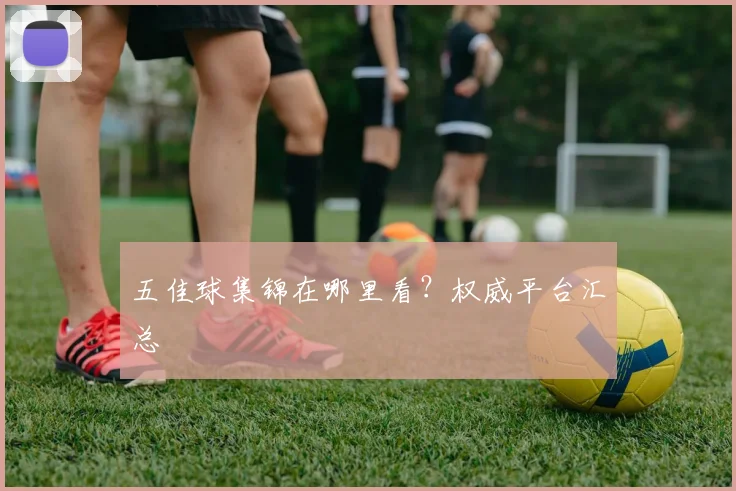 五佳球集锦在哪里看？权威平台汇总