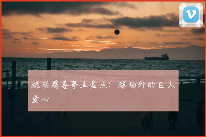 姚明慈善事业盘点:球场外的巨人爱心