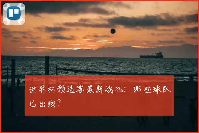 世界杯预选赛最新战况：哪些球队已出线？